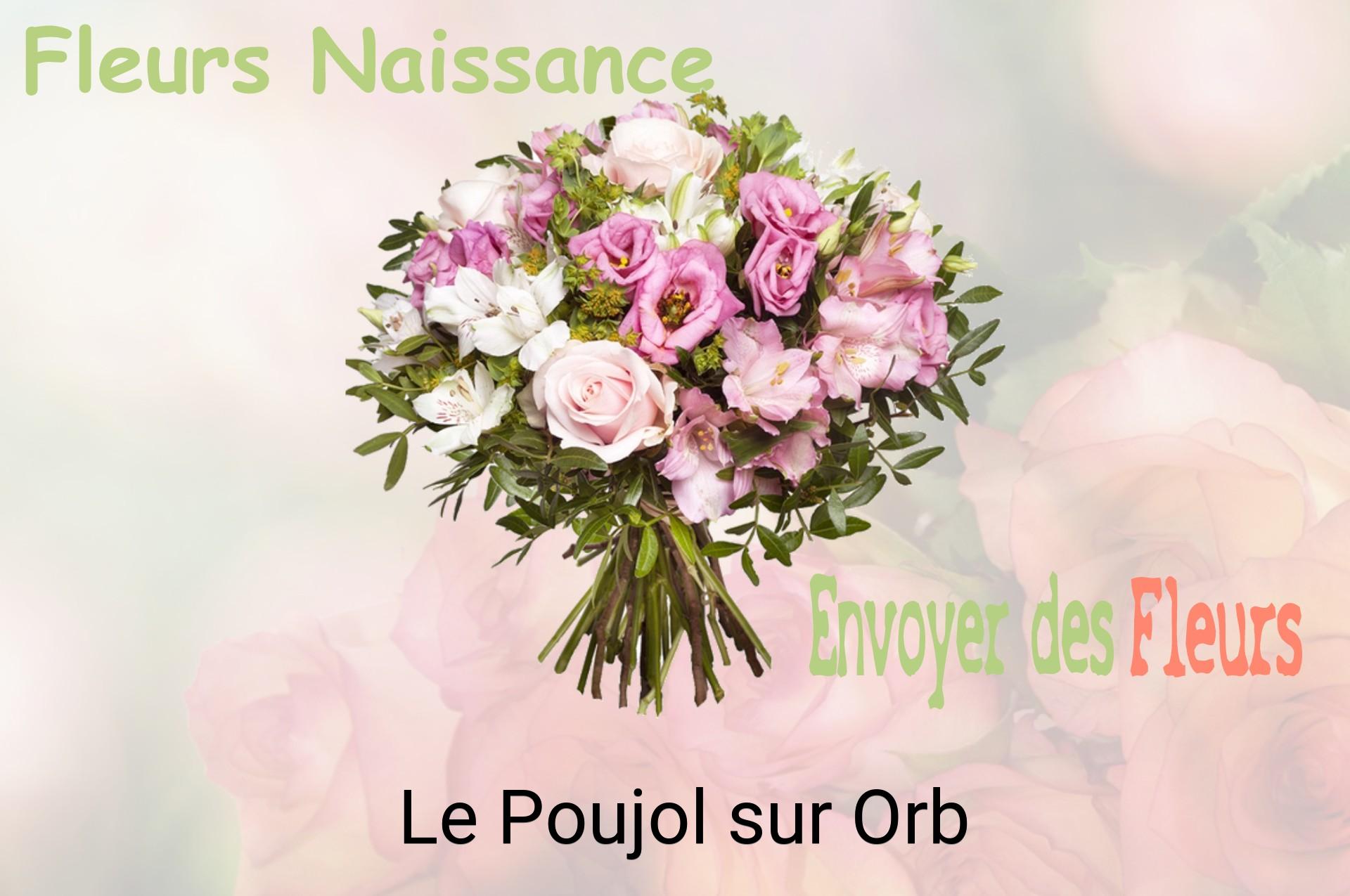 Bouquet de fleurs de naissance livré à Le Poujol-sur-Orb